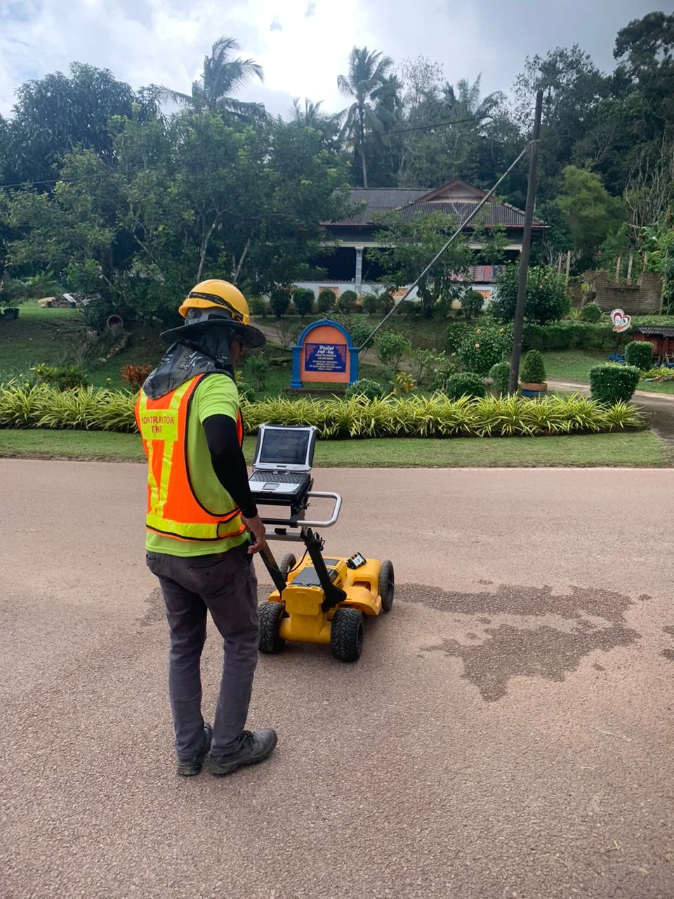 UMAP Activity - umap (62)